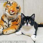 Duncan Maggio Profile Picture