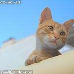 Faustino Becker Profile Picture