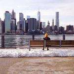Vivienne Kuhic Profile Picture