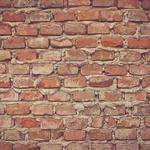 Amya Gusikowski Profile Picture