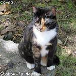 Cristobal Okuneva Profile Picture