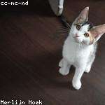 Bill Weimann Profile Picture