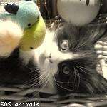 Ronny Bernhard Profile Picture
