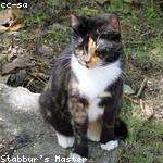 Edythe Beahan Profile Picture