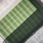 Arno Koepp Profile Picture