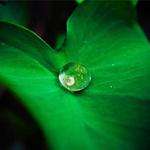 Sylvan Ernser Profile Picture